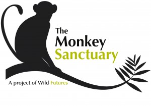 Monkey Sanctuary