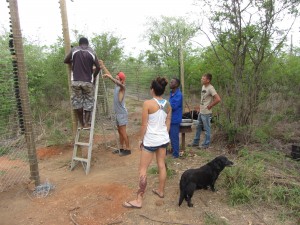 overseas support - vervet monkey foundation 2