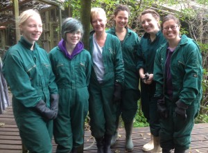 Volunteers cropped