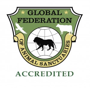GFAS accreditation logo
