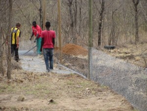 cementing the dimond mesh into the ground